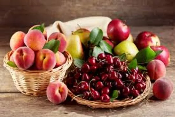 Саженцы плодовых,  ягодных и роз 4